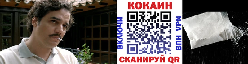 где можно купить наркотик  Будённовск  COCAIN Эквадор 