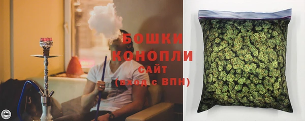 apvp Белокуриха