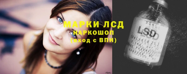 ешки Богданович