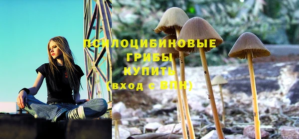 ПСИЛОЦИБИНОВЫЕ ГРИБЫ Мегион