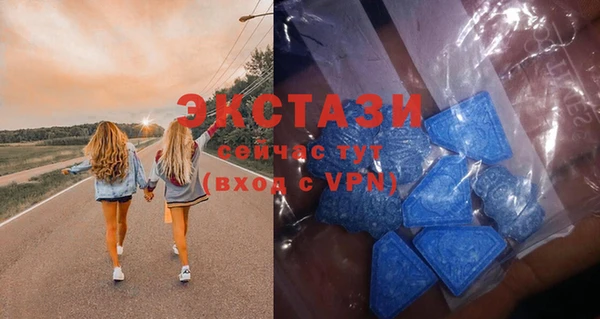 таблы Богородицк