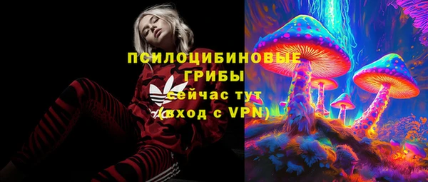 прущие грибы Богородск
