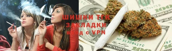 таблы Богородицк