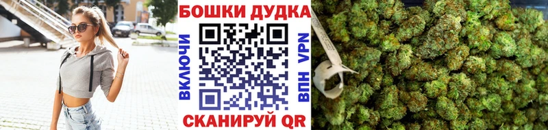 Конопля планчик Будённовск
